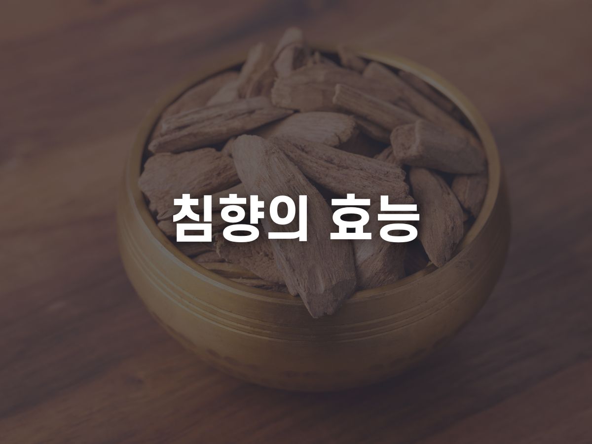 침향의 효능
