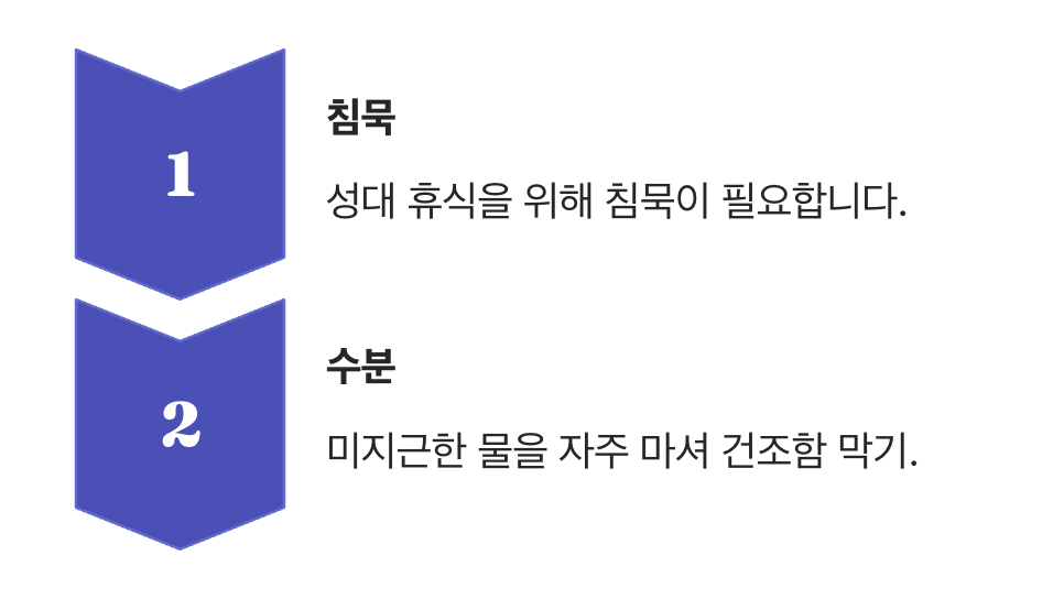 가장 먼저 챙겨야 할 ‘침묵’과 ‘수분’