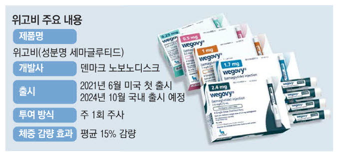 위고비,비만치료제,다이어트,주사
