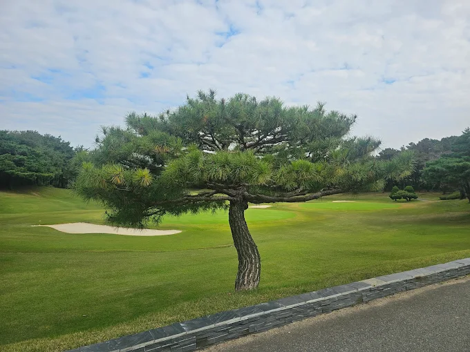충남 아산 '도고 컨트리클럽' 소개 및 예약방법