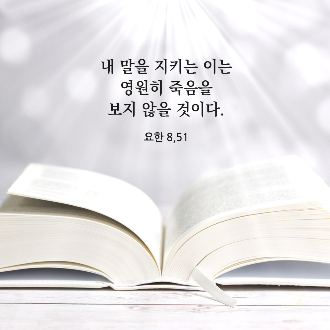 내 말을 지키는 이는 영원히 죽음을 보지 않을 것이다. (요한 8,51) 오늘 성경 말씀 카드