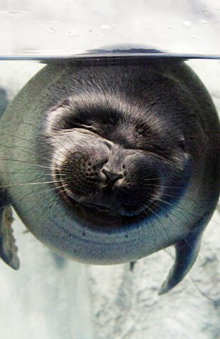 여수 가볼만한 곳 베스트10, 핫플