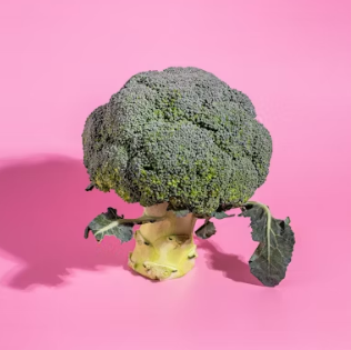 브로콜리 효능과 부작용 고르는법 칼로리