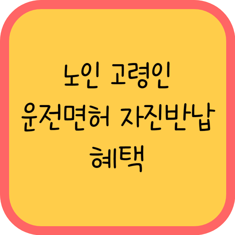 노인 고령인 운전면허 자진반납 혜택