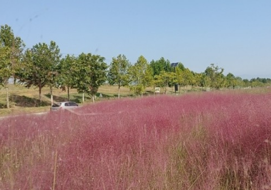 경북 구미 가볼만한곳 여행지 TOP 7곳
