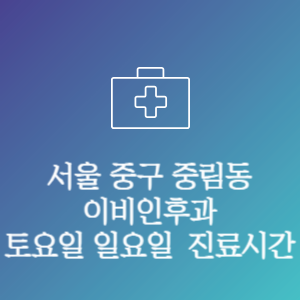 서울 중구 중림동 이비인후과 주말 토요일 일요일 문여는 병원 진료시간