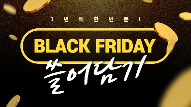 블랙프라이데이 기간