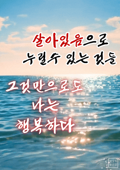 바다 위 햇살이 반짝이는 풍경에 살아있음의 감사와 행복을 전하는 문구가 담긴 감성 이미지