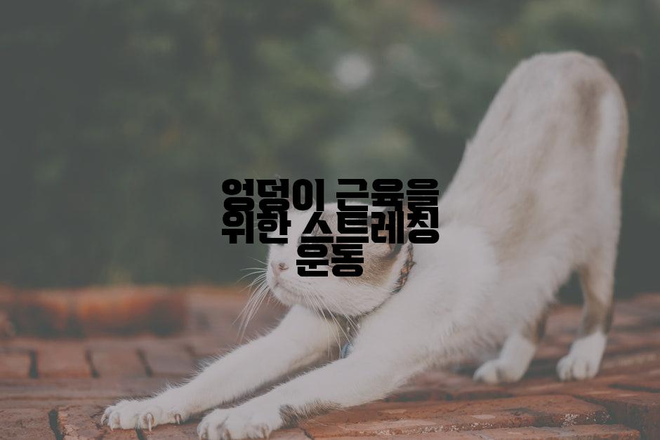 엉덩이 근육을 위한 스트레칭 운동