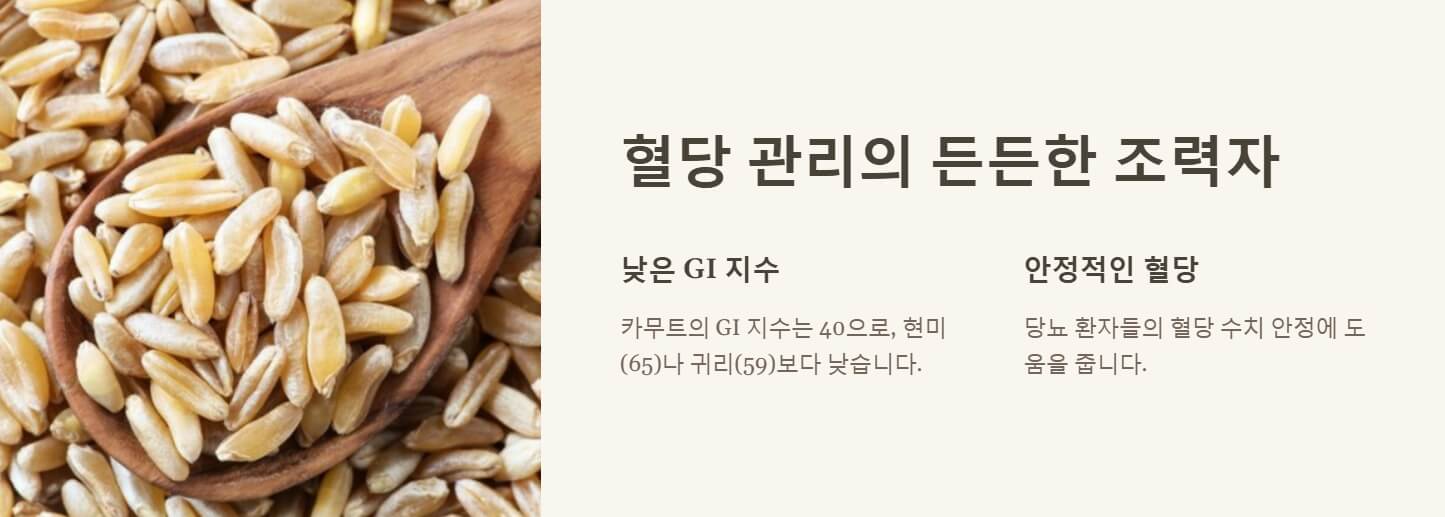 카무트 효소 효능 먹는법
