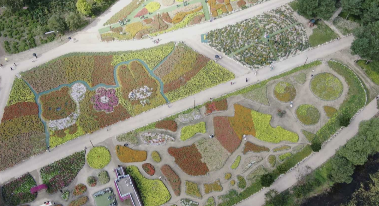 자라섬 꽃 축제