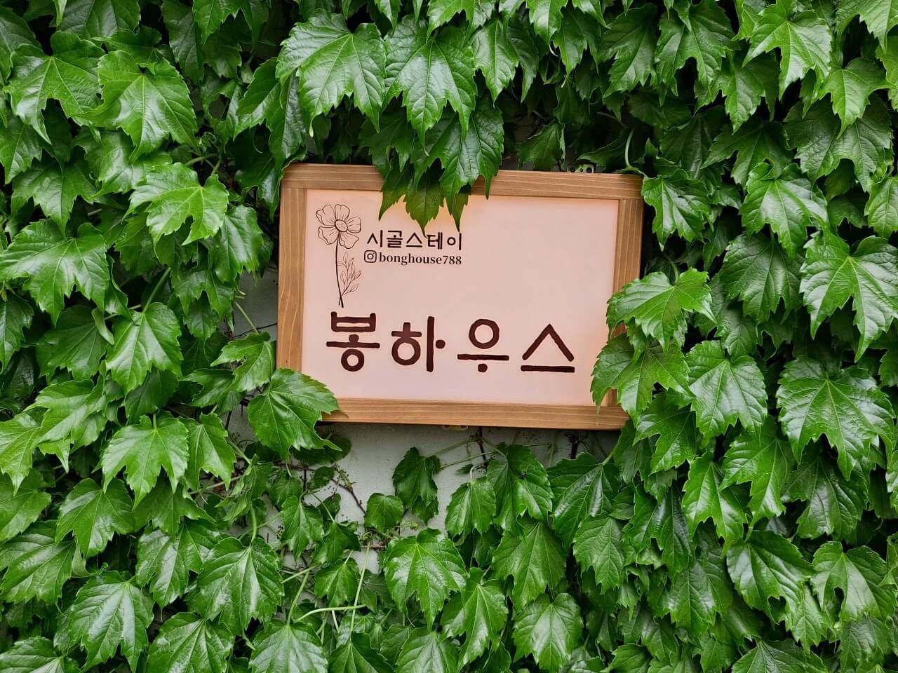 오늘N 나의 귀촌 일기 전남 나주 한옥 독채 숙소 촌캉스 봉하우스