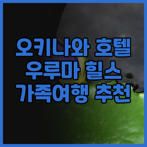 오키나와 호텔 추천: ANA 크라운 ..