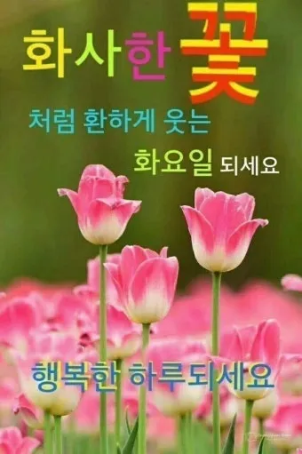 환절기 인사말 모음 예시 멘트_19