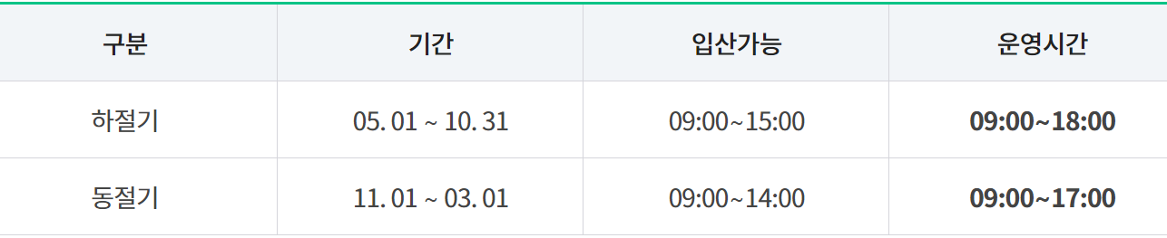 인제 자작나무숲