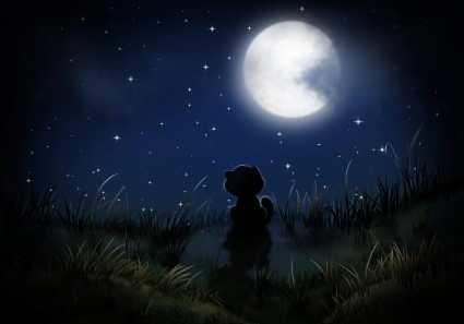 꽃피는 달의 신비와 의미 플라워문