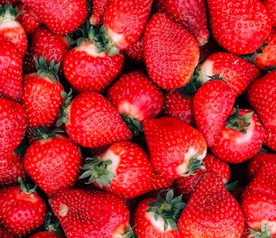 치매 예방 음식 좋은 식품