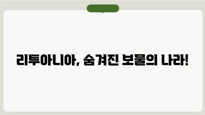 리투아니아의 전통 음식