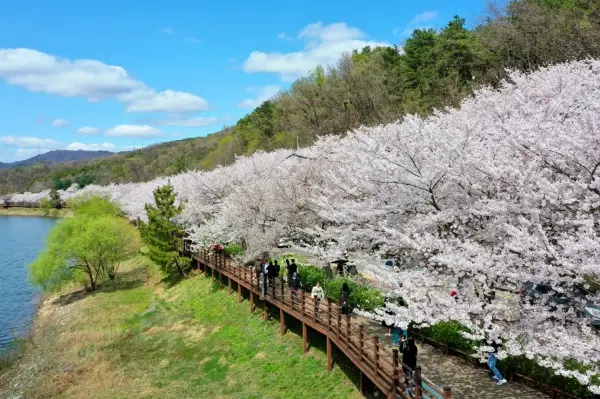 수원 광교저수지2