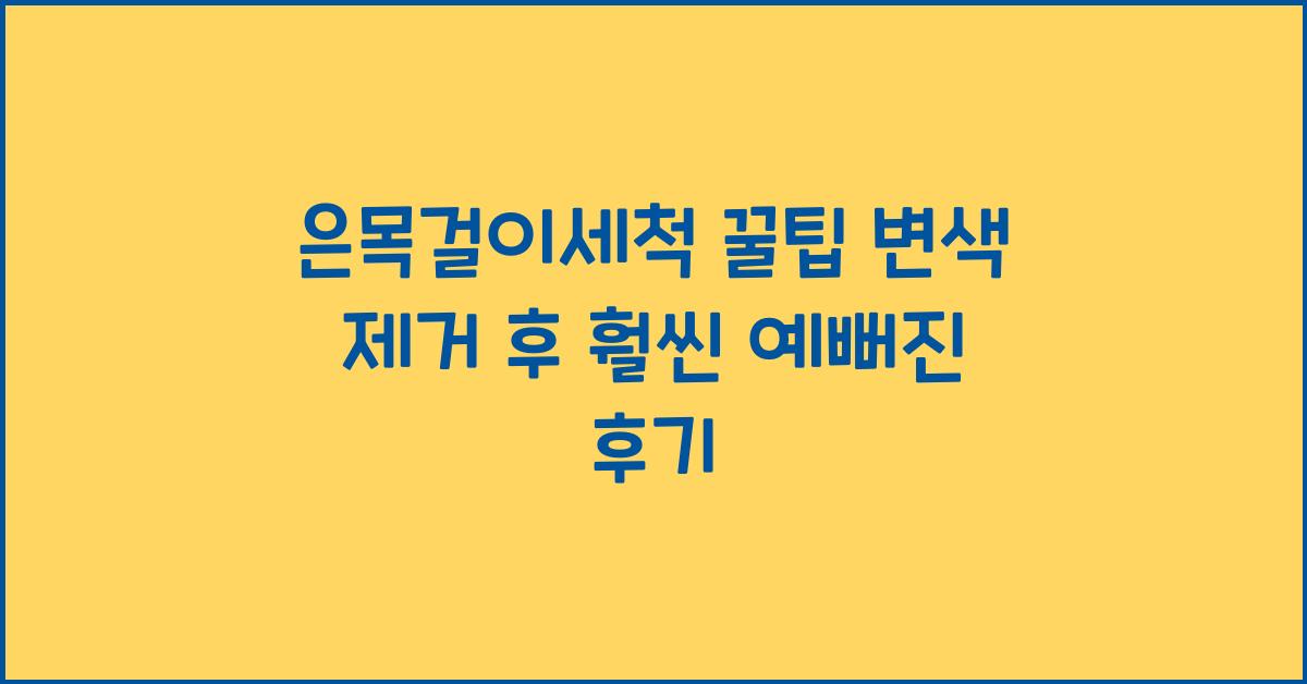 은목걸이세척