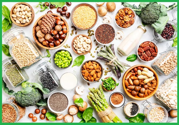 채식 단백질 섭취를 위한 식단