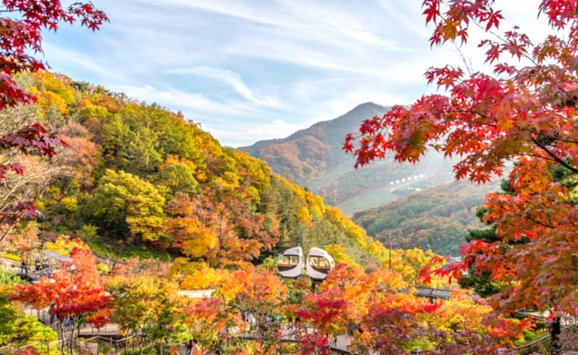 당일치기-서울-근교-단풍-구경-가볼만한-곳-화담숲