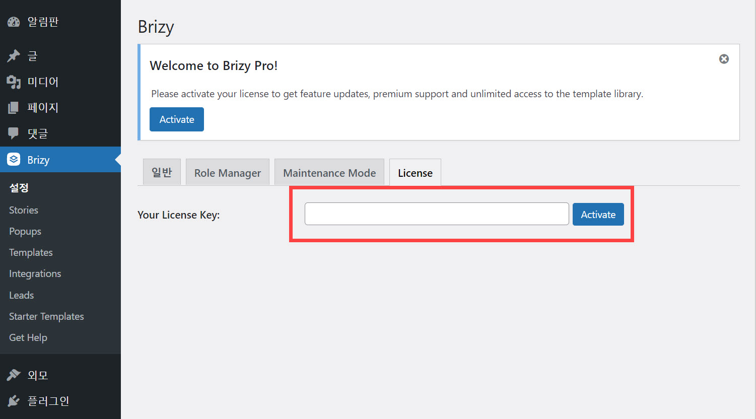 워드프레스 Brizy Pro 활성화 및 템플릿 설치하기 - 라이선스 등록