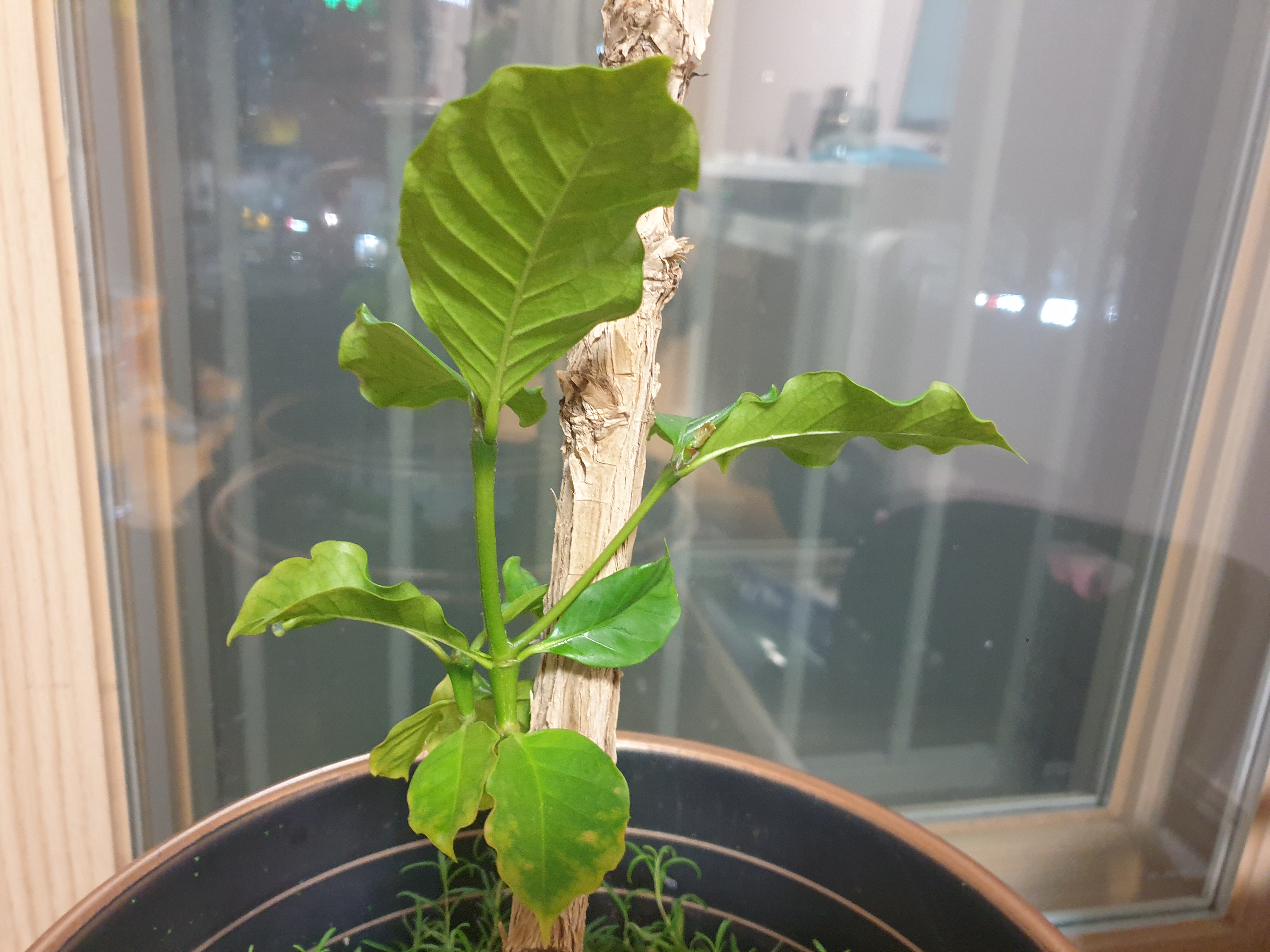 조상을 만나는 꿈
돌아가신 조상꿈
조상이 나오는 꿈
죽은조상꿈
조상묘꿈
조상이 웃는 꿈
조상에게 절 하는 꿈
조상 산소 꿈
조상무덤 꿈
죽은 조상 나오는 꿈