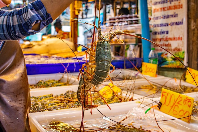 시장 사진