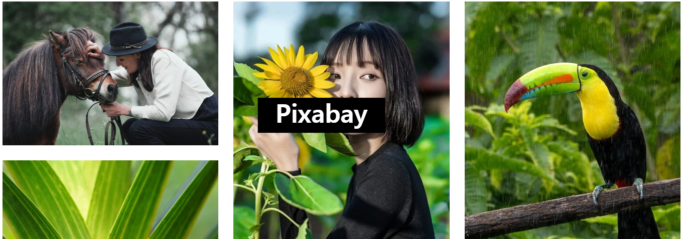 Pixabay
