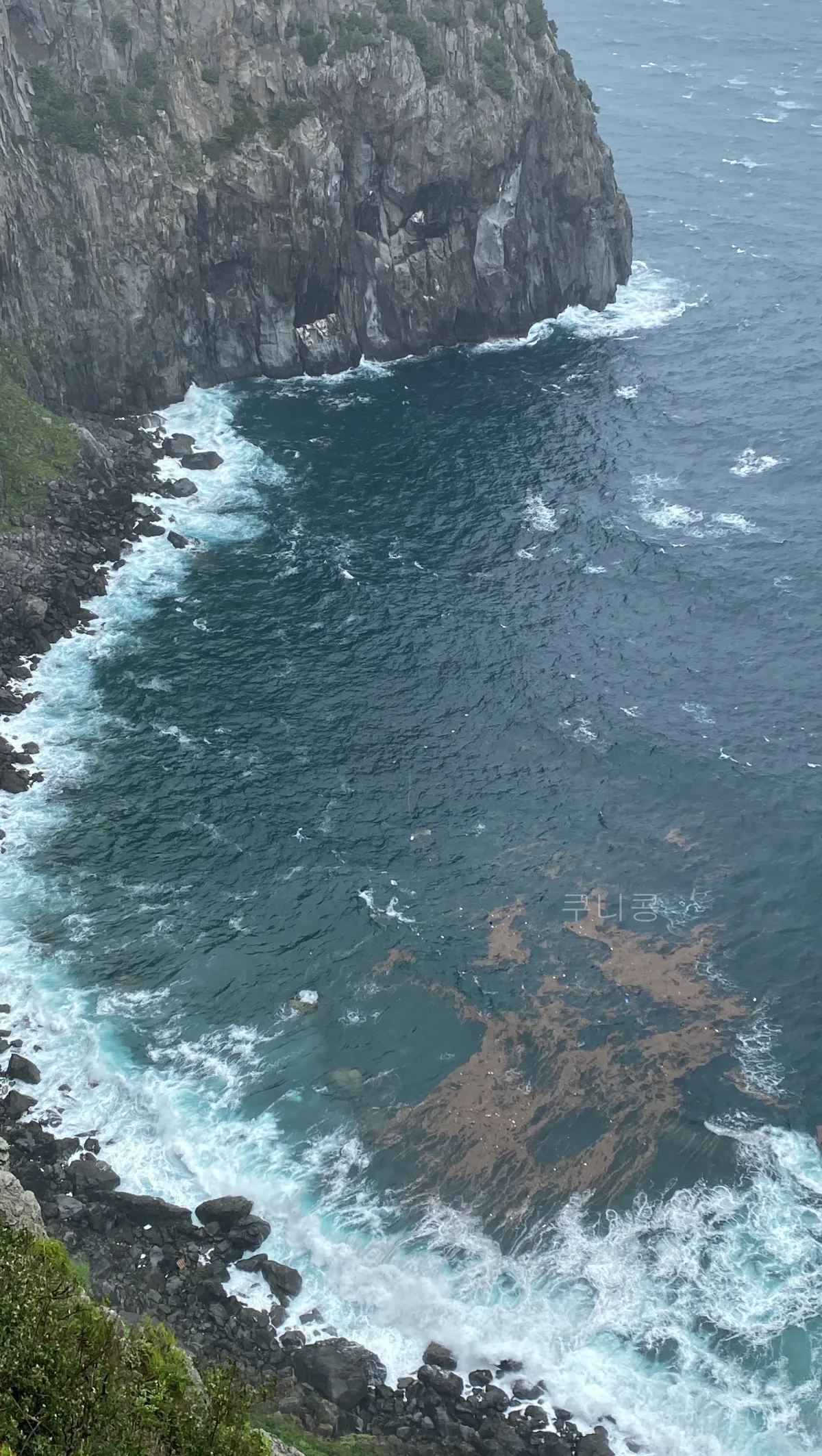 울릉도-추석가족여행-1일차-모노레일-입장료-할인,-해안산책로,-대풍감-풍경까지