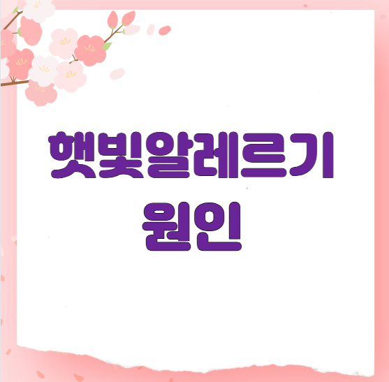 햇빛알레르기 원인