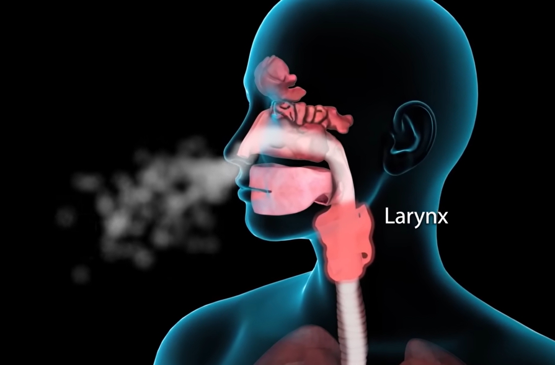 콧물이 계속 나는 이유