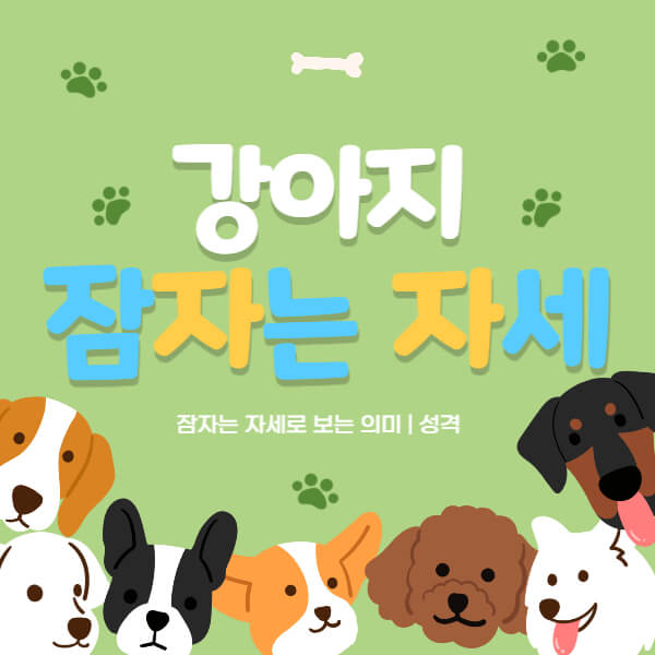 강아지_잠자는_자세_썸네일