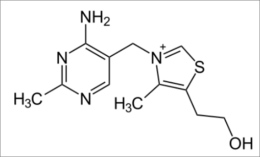 티아민 분자구조