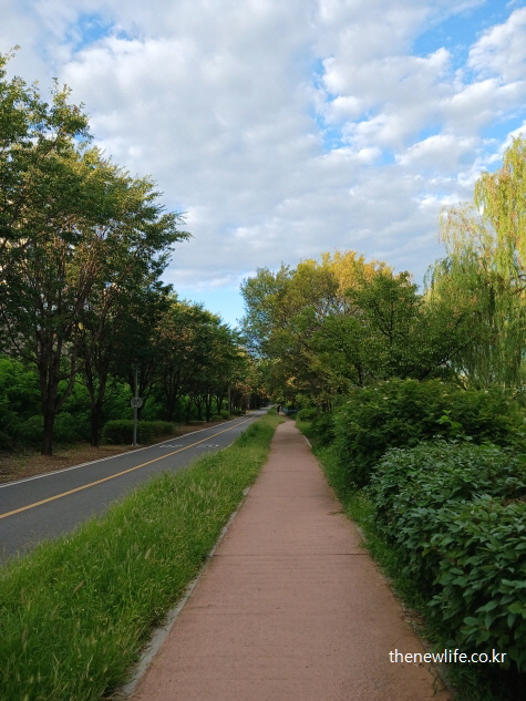고지혈증 관리와 체중 감량을 위한 걷기 운동, 꾸준한 유산소 운동의 중요성