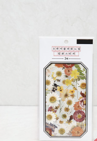 동대구역 다이소