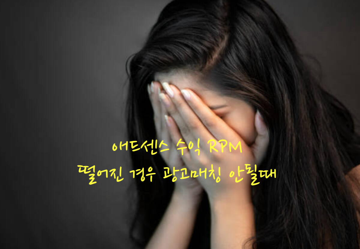 애드센스 수익