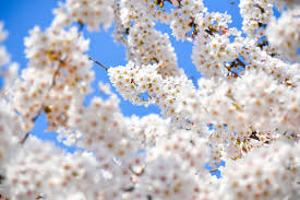 숙박세일페스타