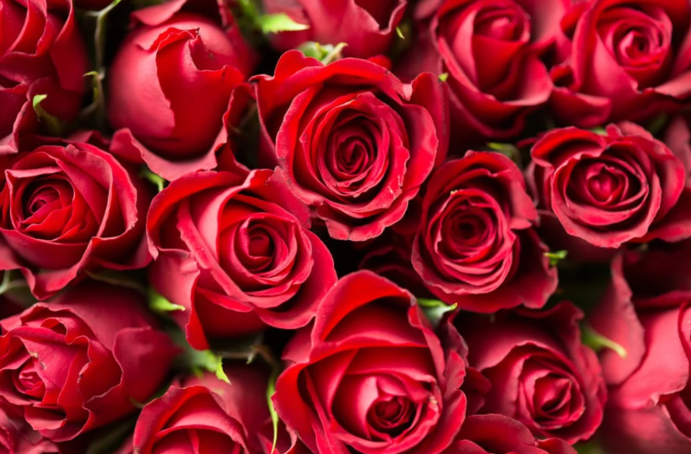 현충일 가볼만한 곳