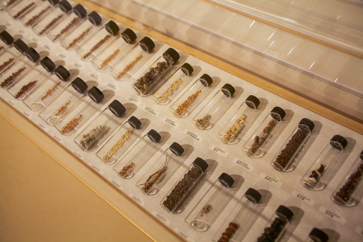 '이렇게 가까이서 본 적이 있었나' 새삼스러운 토종씨앗들