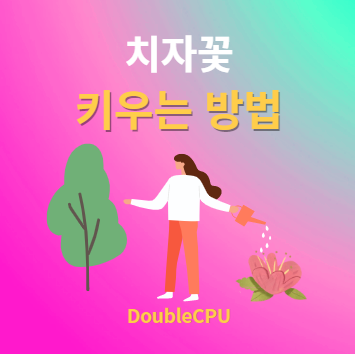 치자꽃 키우기