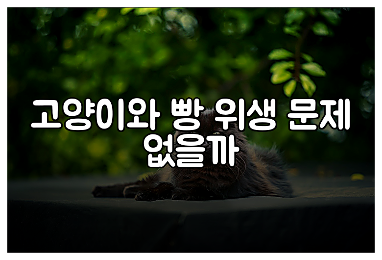 고양이와 빵 위생 문제 없을까