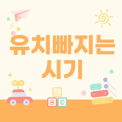 유치 빠지는 순서
