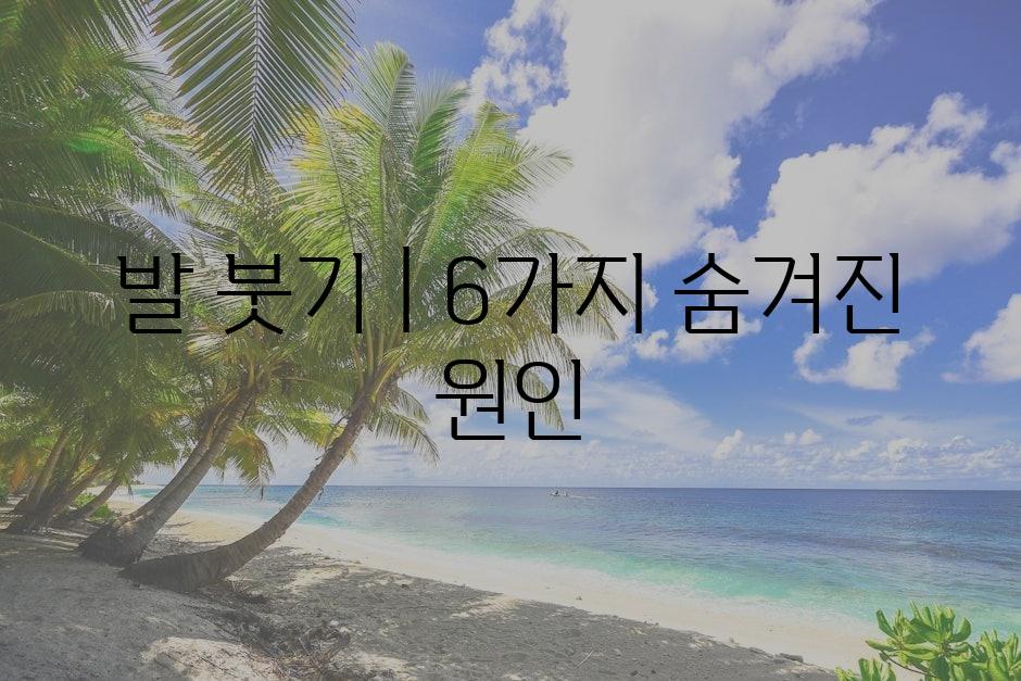 샘플 (75)