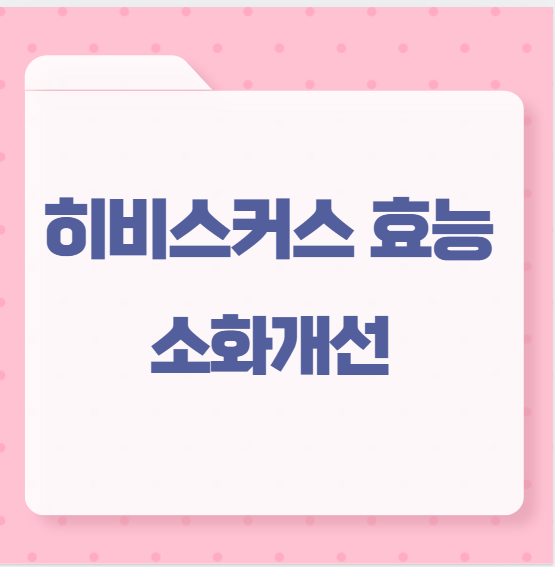 히비스커스 효능 소화개선