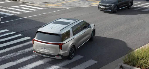 드라이브 와이즈 옵션