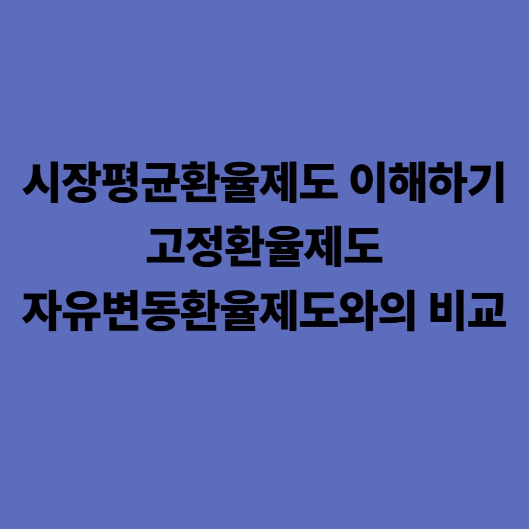 시장평균환율제도 이해하기: 고정환율제도·자유변동환율제도와의 비교