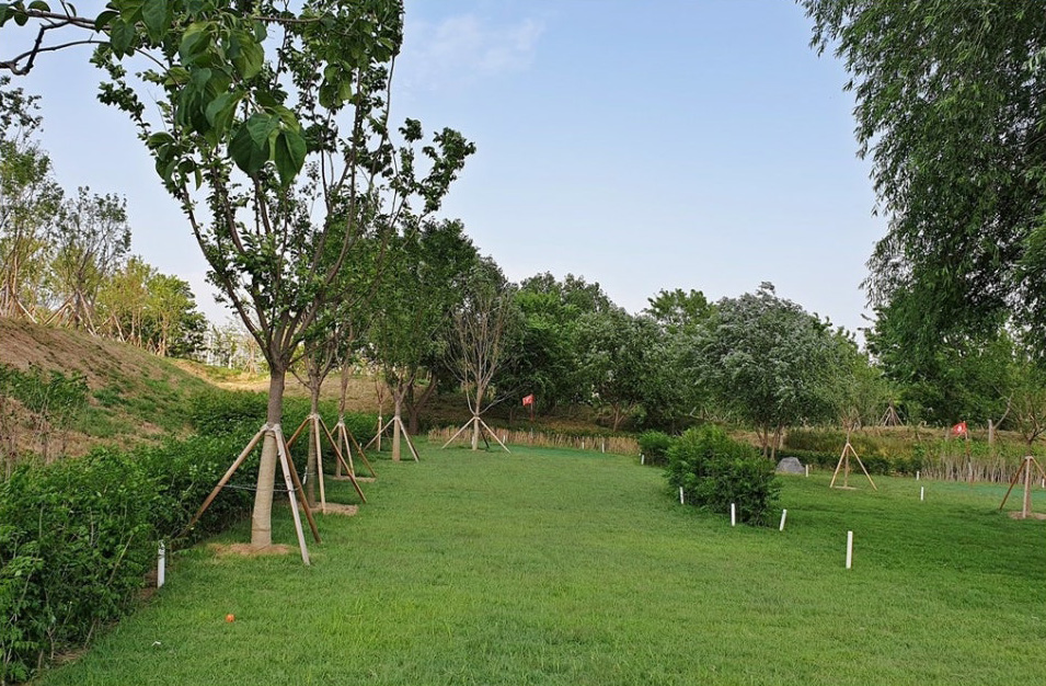 여의도 한강공원 파크골프장 소개