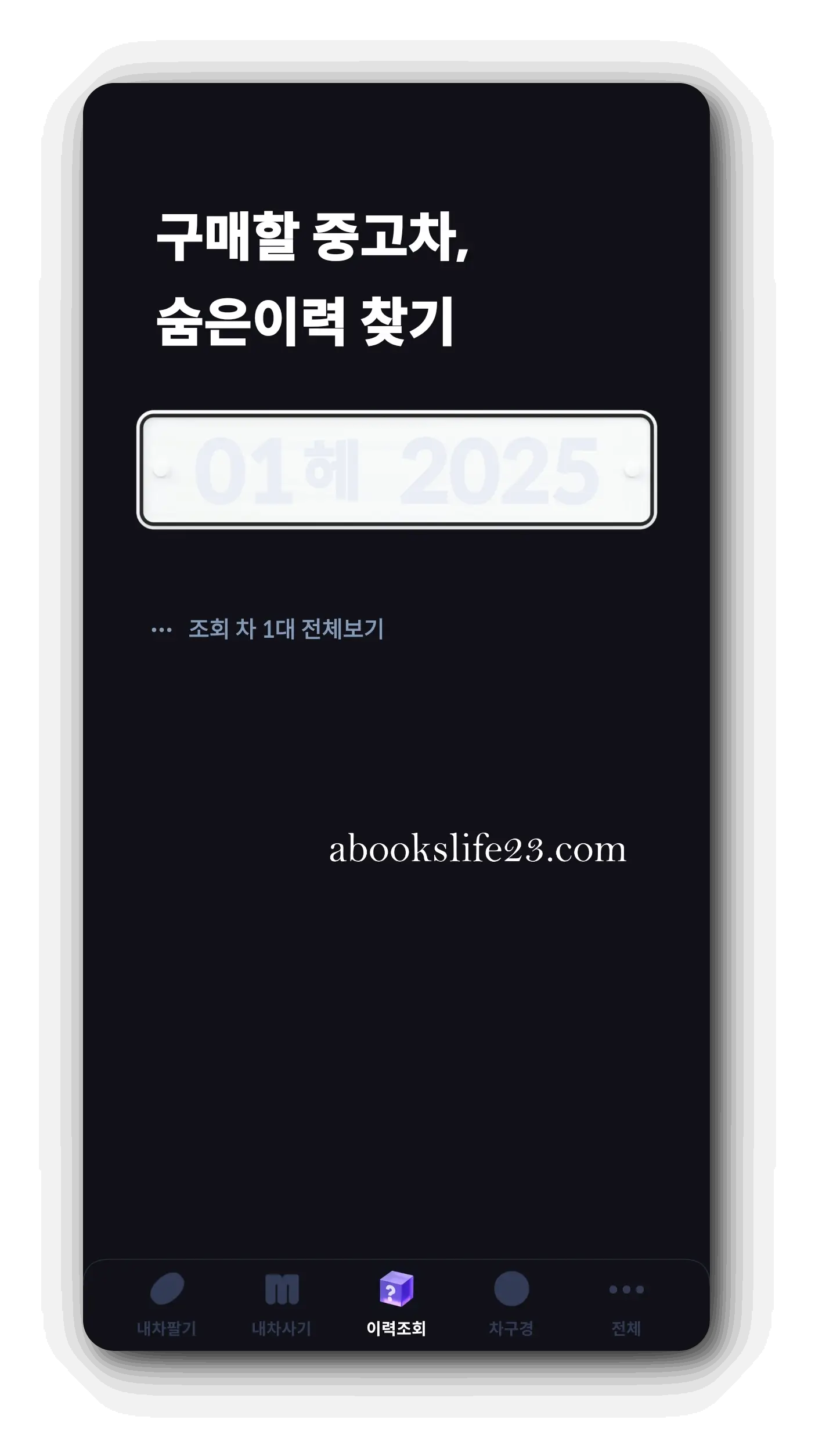 헤이딜러-중고차-이력조회-화면